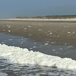 Ihr Zuhause In Ostfriesland Appartamento Leezdorf