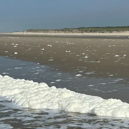 Ihr Zuhause In Ostfriesland Lägenhet Leezdorf