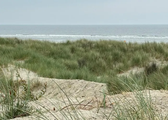 Ihr Zuhause In Ostfriesland * Leezdorf